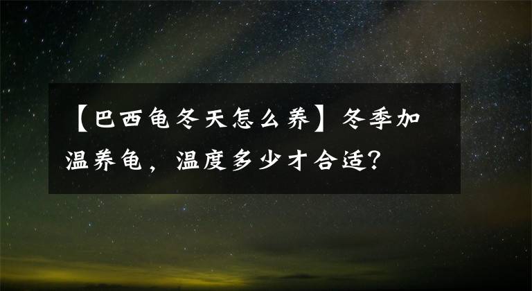 【巴西龟冬天怎么养】冬季加温养龟，温度多少才合适？