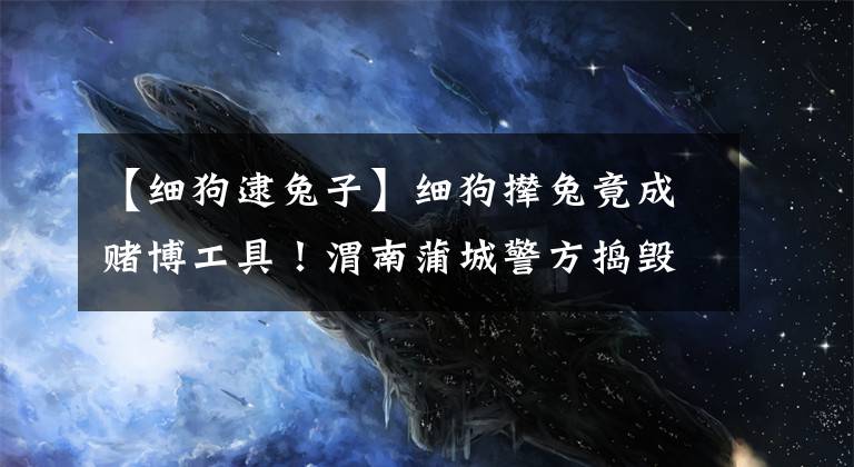 【细狗逮兔子】细狗撵兔竟成赌博工具！渭南蒲城警方捣毁一处违法斗狗场