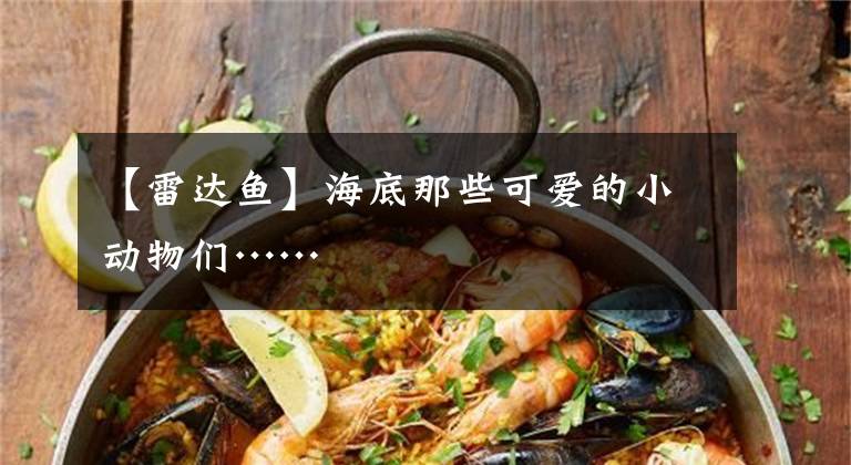 【雷达鱼】海底那些可爱的小动物们……