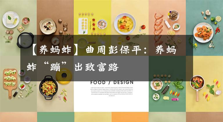 【养蚂蚱】曲周彭保平：养蚂蚱“蹦”出致富路