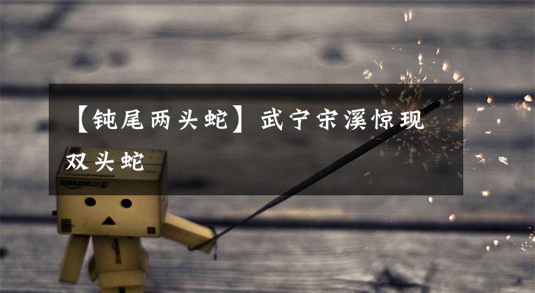 【钝尾两头蛇】武宁宋溪惊现双头蛇