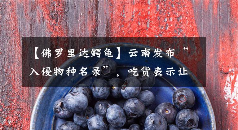 【佛罗里达鳄龟】云南发布“入侵物种名录”,吃货表示让我来!