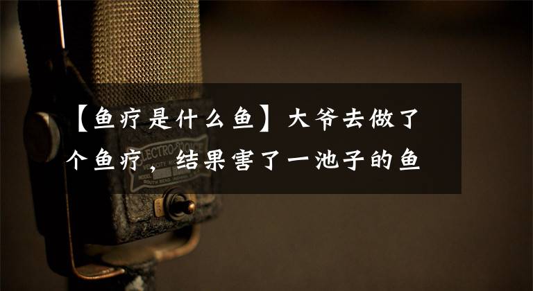 【鱼疗是什么鱼】大爷去做了个鱼疗，结果害了一池子的鱼……