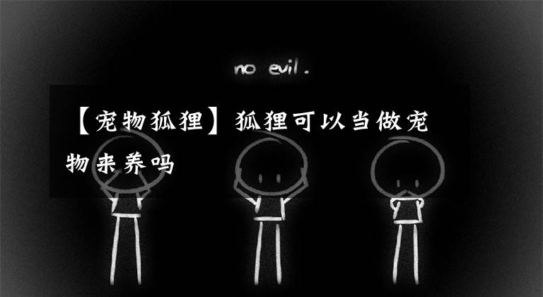 【宠物狐狸】狐狸可以当做宠物来养吗