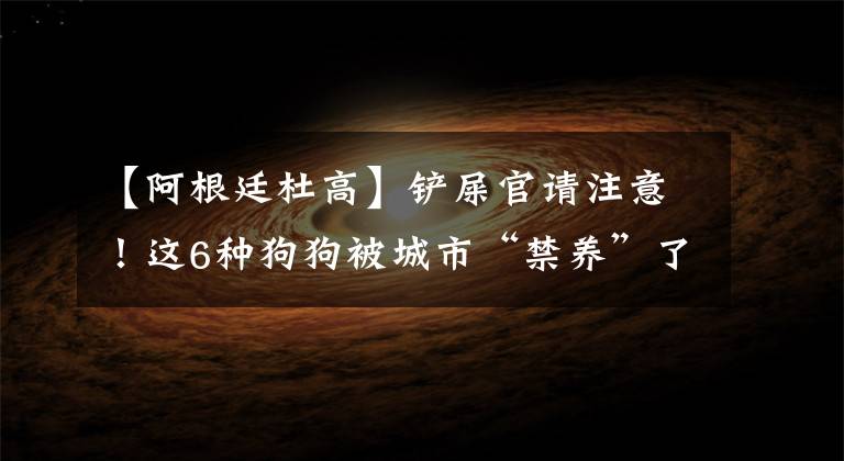 【阿根廷杜高】铲屎官请注意！这6种狗狗被城市“禁养”了