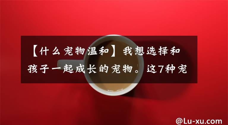 【什么宠物温和】我想选择和孩子一起成长的宠物。这7种宠物可爱温顺，最适合孩子养
