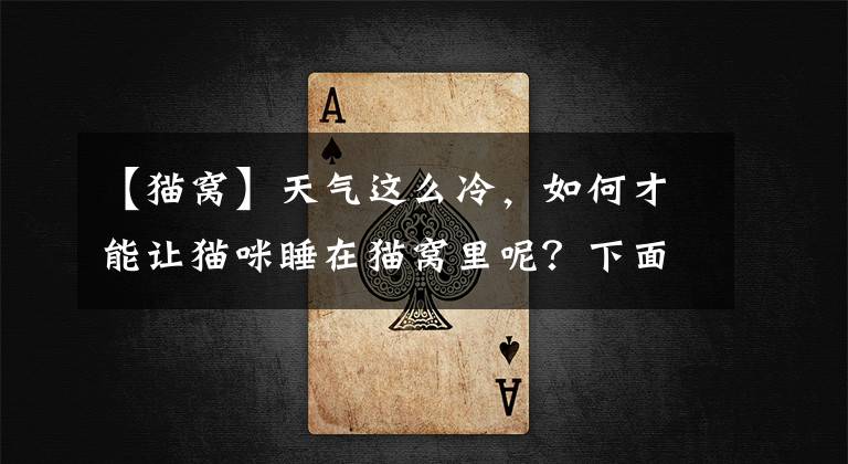 【猫窝】天气这么冷，如何才能让猫咪睡在猫窝里呢？下面教你几招吧