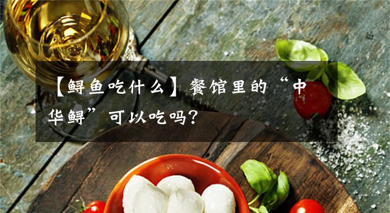 【鲟鱼吃什么】餐馆里的“中华鲟”可以吃吗？