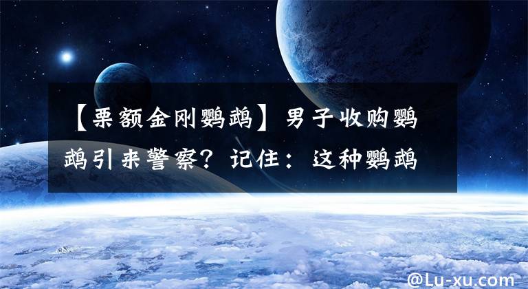 【栗额金刚鹦鹉】男子收购鹦鹉引来警察？记住：这种鹦鹉不得擅自买卖