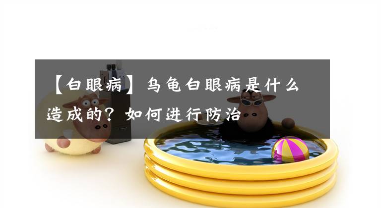 【白眼病】乌龟白眼病是什么造成的？如何进行防治