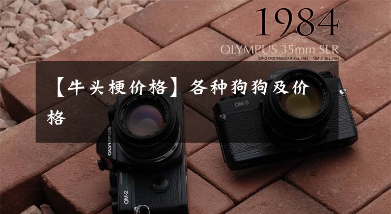 【牛头梗价格】各种狗狗及价格