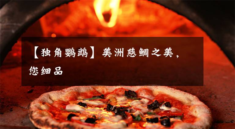 【独角鹦鹉】美洲慈鲷之美，您细品