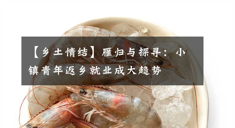 【乡土情结】雁归与探寻：小镇青年返乡就业成大趋势