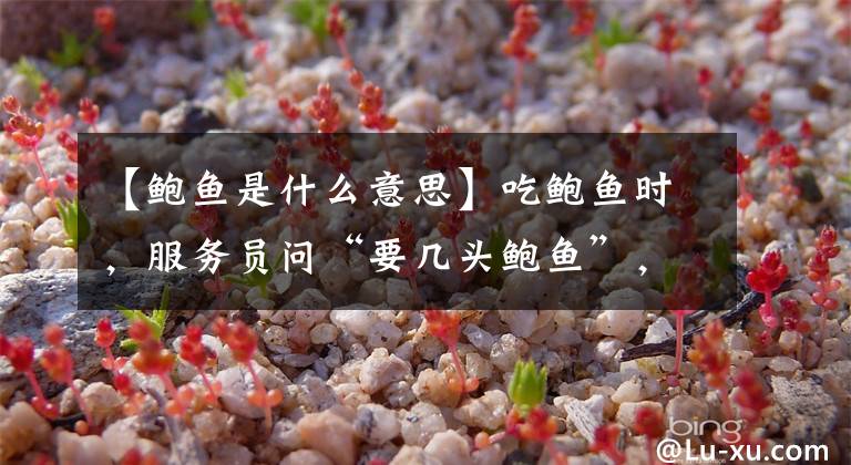 【鲍鱼是什么意思】吃鲍鱼时,服务员问“要几头鲍鱼”,建议弄明白再答,避免闹笑话