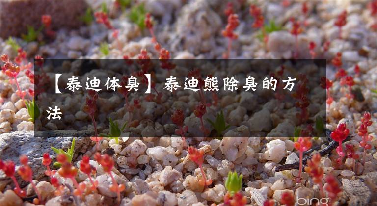 【泰迪体臭】泰迪熊除臭的方法