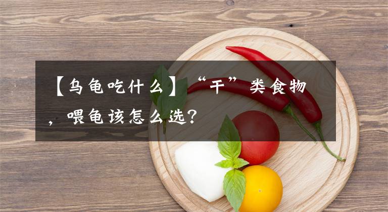 【乌龟吃什么】“干”类食物,喂龟该怎么选?