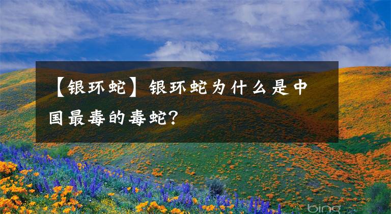 【银环蛇】银环蛇为什么是中国最毒的毒蛇?