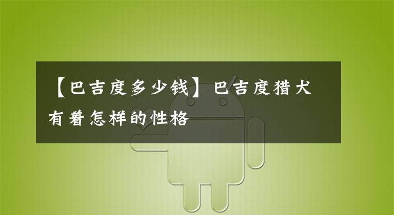 【巴吉度多少钱】巴吉度猎犬有着怎样的性格
