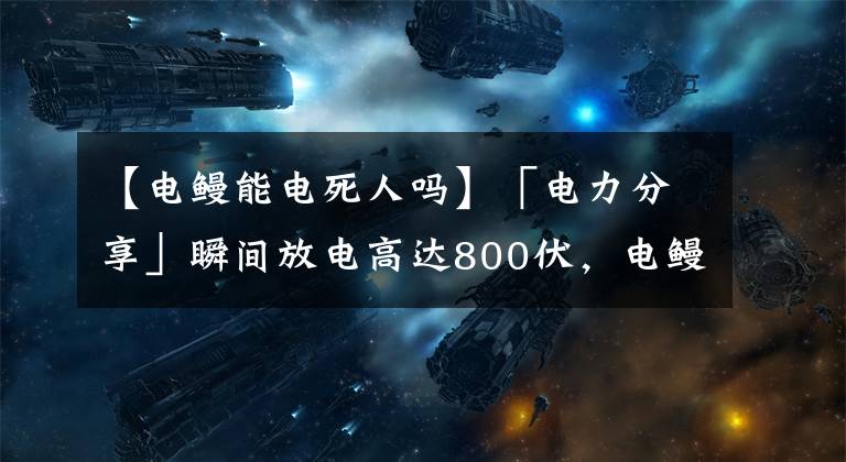 【电鳗能电死人吗】「电力分享」瞬间放电高达800伏，电鳗是怎么发电的？