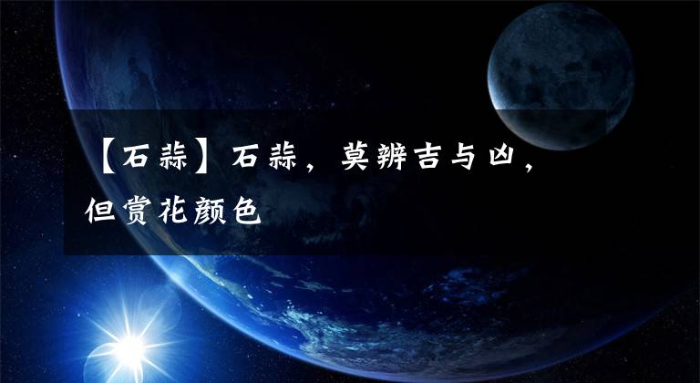 【石蒜】石蒜,莫辨吉与凶,但赏花颜色