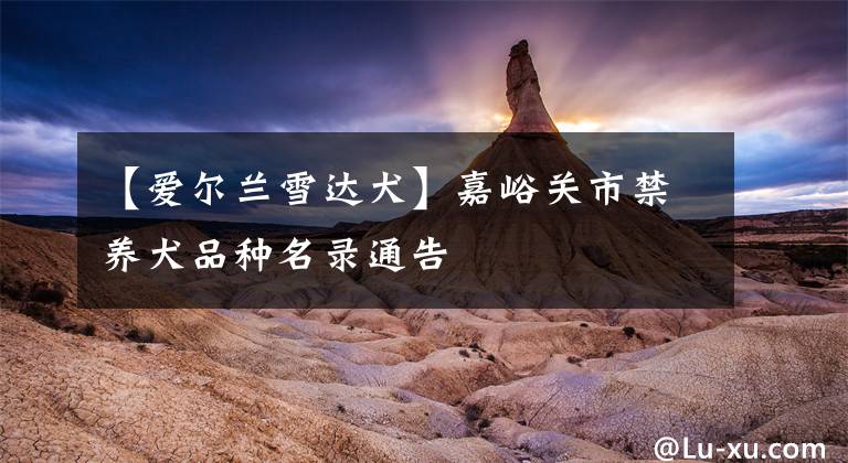 【爱尔兰雪达犬】嘉峪关市禁养犬品种名录通告