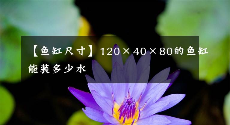 【鱼缸尺寸】120×40×80的鱼缸能装多少水
