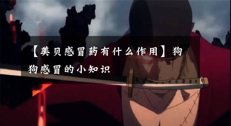 【美贝感冒药有什么作用】狗狗感冒的小知识