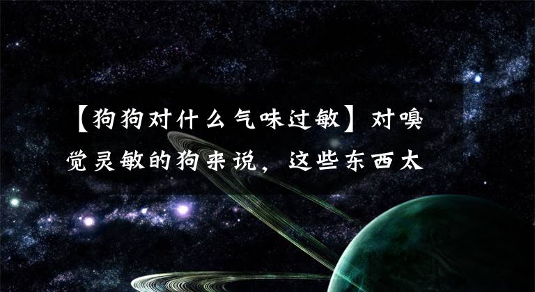 【狗狗对什么气味过敏】对嗅觉灵敏的狗来说,这些东西太刺激了,有害
