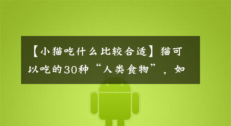 【小猫吃什么比较合适】猫可以吃的30种“人类食物”，如果喂对了，猫的寿命会更长。