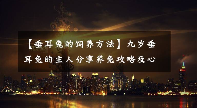 【垂耳兔的饲养方法】九岁垂耳兔的主人分享养兔攻略及心得