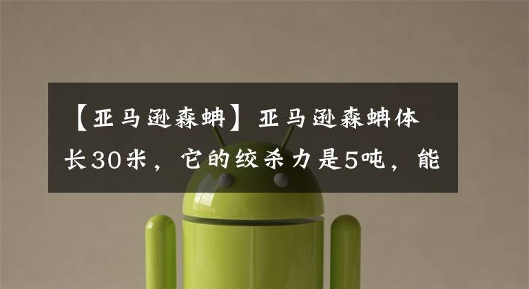 【亚马逊森蚺】亚马逊森蚺体长30米，它的绞杀力是5吨，能把房子绞碎
