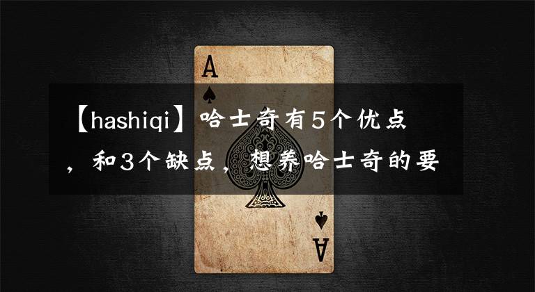 【hashiqi】哈士奇有5个优点,和3个缺点,想养哈士奇的要了解