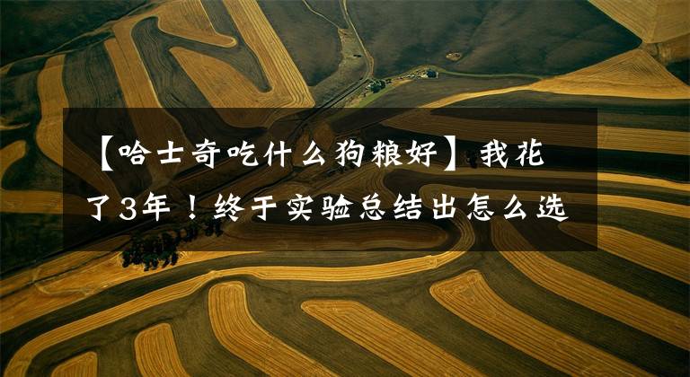 【哈士奇吃什么狗粮好】我花了3年！终于实验总结出怎么选狗粮！你是否也有一样的困扰？