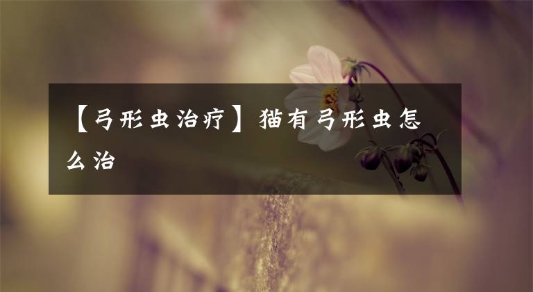 【弓形虫治疗】猫有弓形虫怎么治