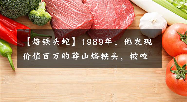 【烙铁头蛇】1989年,他发现价值百万的莽山烙铁头,被咬20多次,如今生活怎样