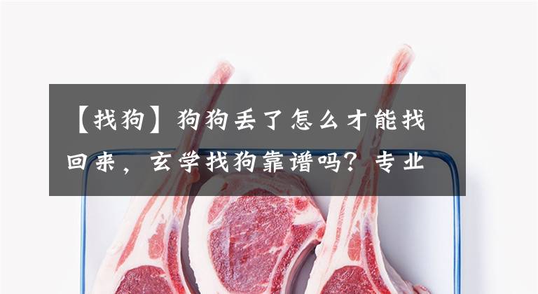 【找狗】狗狗丢了怎么才能找回来,玄学找狗靠谱吗?专业找猫找狗怎么样