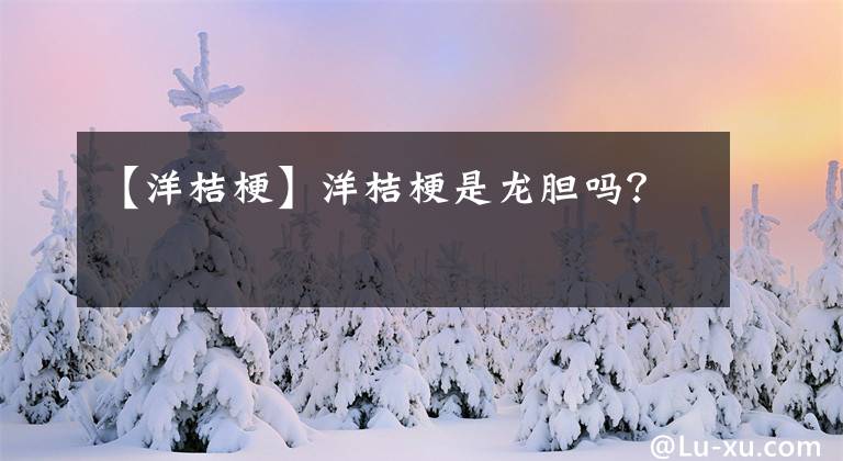 【洋桔梗】洋桔梗是龙胆吗？