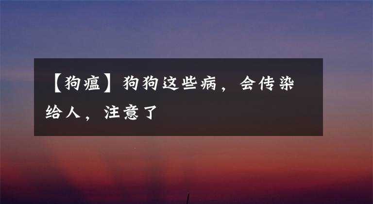 【狗瘟】狗狗这些病,会传染给人,注意了