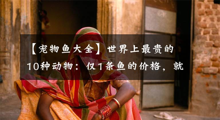 【宠物鱼大全】世界上最贵的10种动物:仅1条鱼的价格,就价值2套豪宅