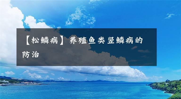 【松鳞病】养殖鱼类竖鳞病的防治