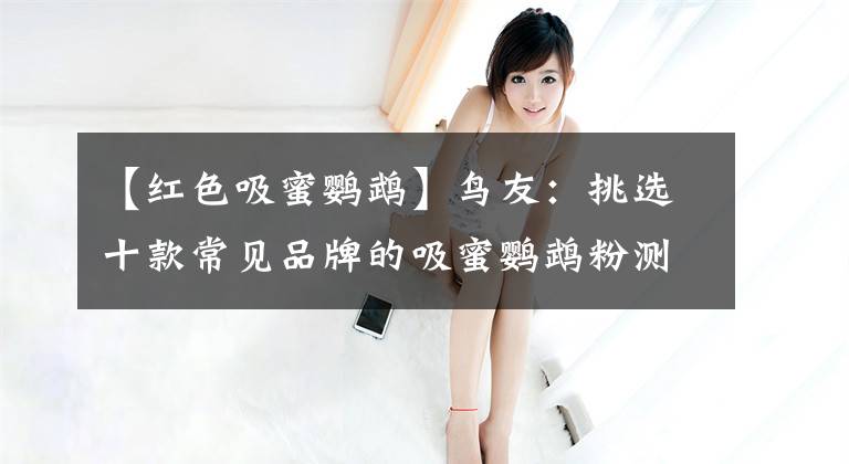 【红色吸蜜鹦鹉】鸟友：挑选十款常见品牌的吸蜜鹦鹉粉测试，看看到底哪款最好