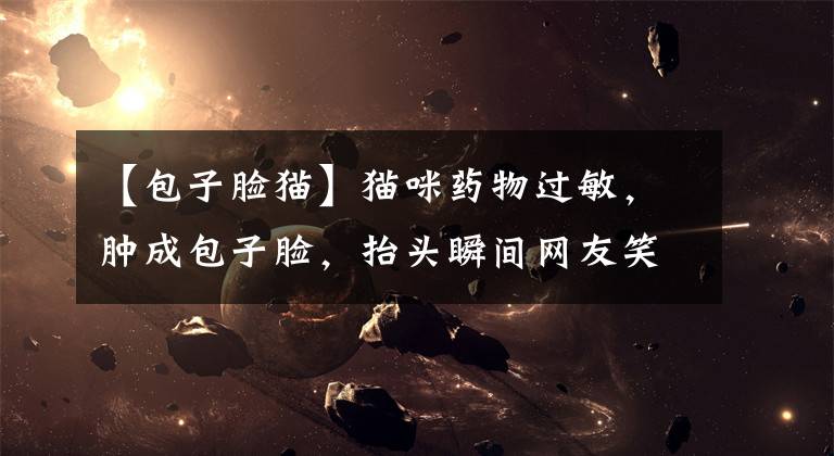 【包子脸猫】猫咪药物过敏,肿成包子脸,抬头瞬间网友笑喷了