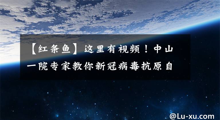【红条鱼】这里有视频！中山一院专家教你新冠病毒抗原自测