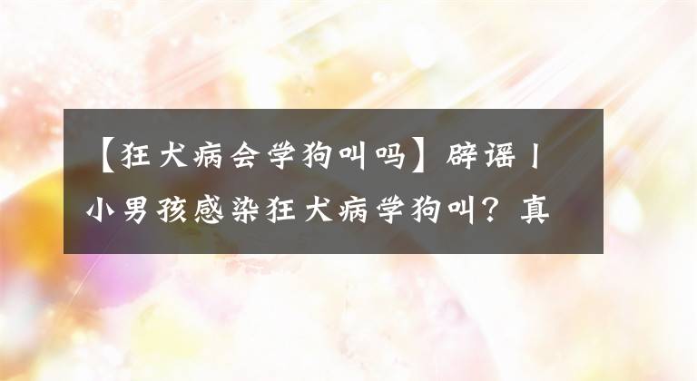 【狂犬病会学狗叫吗】辟谣丨小男孩感染狂犬病学狗叫?真相在这里!