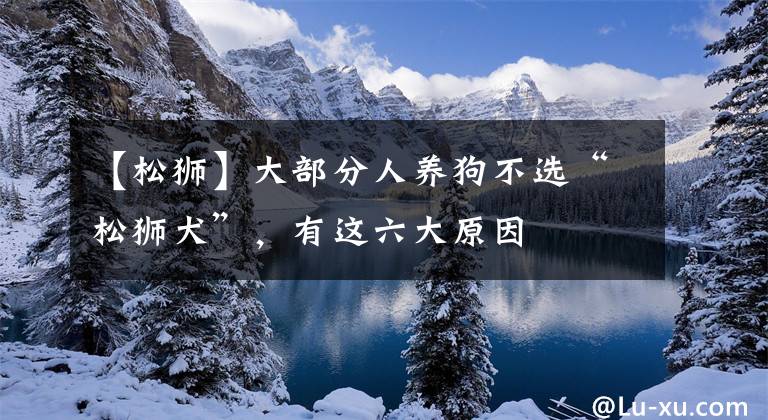 【松狮】大部分人养狗不选“松狮犬”，有这六大原因