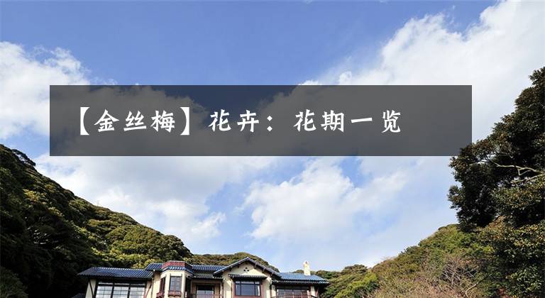 【金丝梅】花卉：花期一览