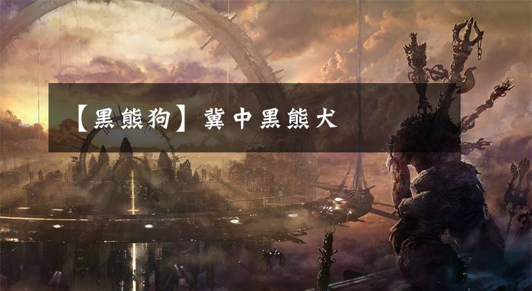 【黑熊狗】冀中黑熊犬