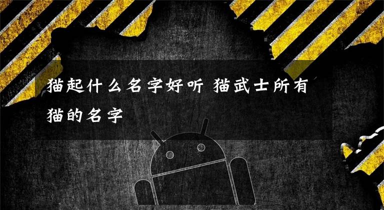 猫起什么名字好听 猫武士所有猫的名字