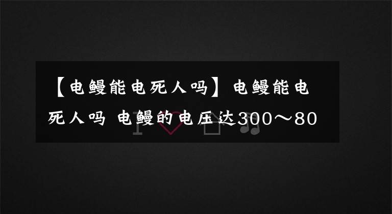 【电鳗能电死人吗】电鳗能电死人吗 电鳗的电压达300～800伏