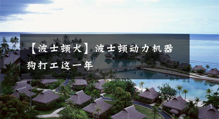 【波士顿犬】波士顿动力机器狗打工这一年